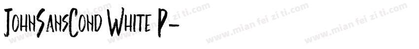 JohnSansCond White P字体转换